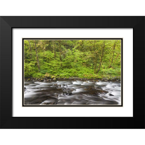 Oregon, Columbia River Gorge Tanner Creek Black Modern Wood Framed Art Print with Double Matting by Paulson, Don