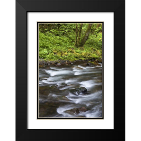 Oregon, Columbia River Gorge Tanner Creek Black Modern Wood Framed Art Print with Double Matting by Paulson, Don
