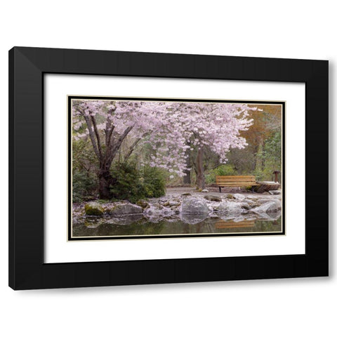 Oregon, Ashland Spring scenic in Lithia Park Black Modern Wood Framed Art Print with Double Matting by Paulson, Don