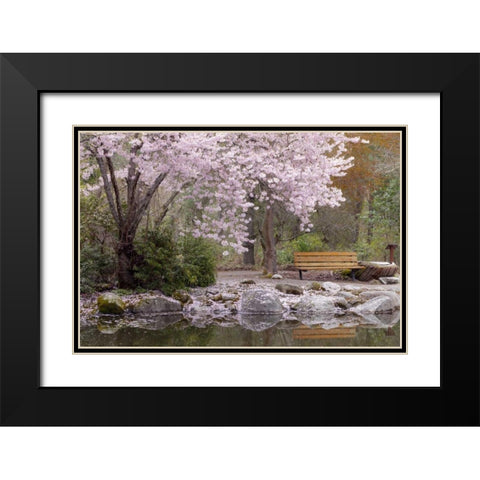 Oregon, Ashland Spring scenic in Lithia Park Black Modern Wood Framed Art Print with Double Matting by Paulson, Don