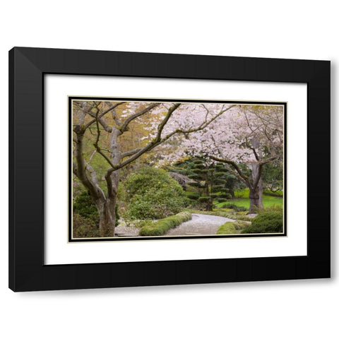 Oregon, Ashland Spring scenic in Lithia Park Black Modern Wood Framed Art Print with Double Matting by Paulson, Don