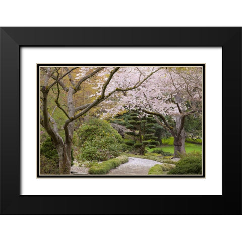 Oregon, Ashland Spring scenic in Lithia Park Black Modern Wood Framed Art Print with Double Matting by Paulson, Don