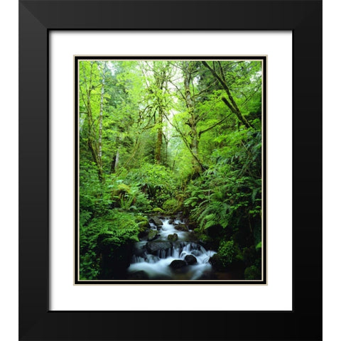 USA, Oregon, A stream in an old-growth forest Black Modern Wood Framed Art Print with Double Matting by Talbot Frank, Christopher