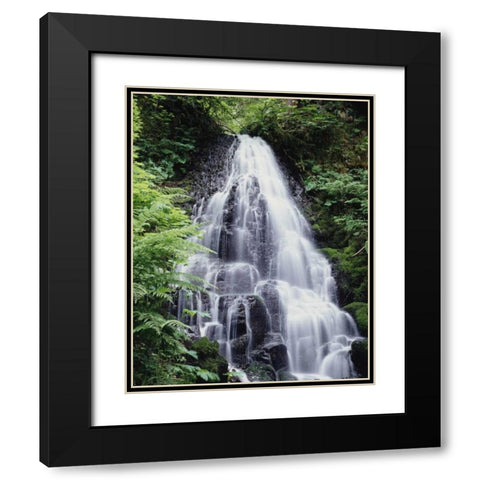 USA, Oregon, A Waterfall amongst ferns Black Modern Wood Framed Art Print with Double Matting by Talbot Frank, Christopher