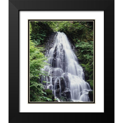 USA, Oregon, A Waterfall amongst ferns Black Modern Wood Framed Art Print with Double Matting by Talbot Frank, Christopher