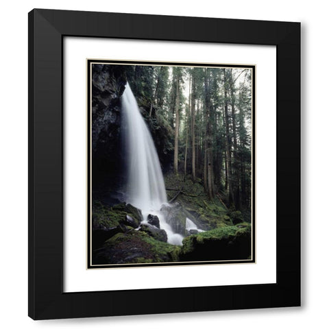 USA, Oregon, A waterfall in an old-growth forest Black Modern Wood Framed Art Print with Double Matting by Talbot Frank, Christopher