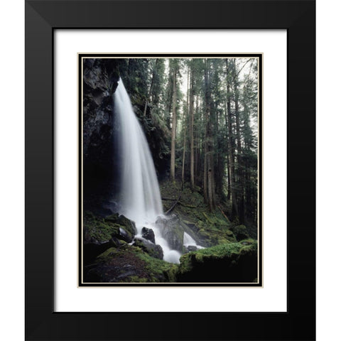 USA, Oregon, A waterfall in an old-growth forest Black Modern Wood Framed Art Print with Double Matting by Talbot Frank, Christopher