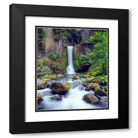 Oregon, Toketee Waterfall and Basalt Formation Black Modern Wood Framed Art Print with Double Matting by Talbot Frank, Christopher