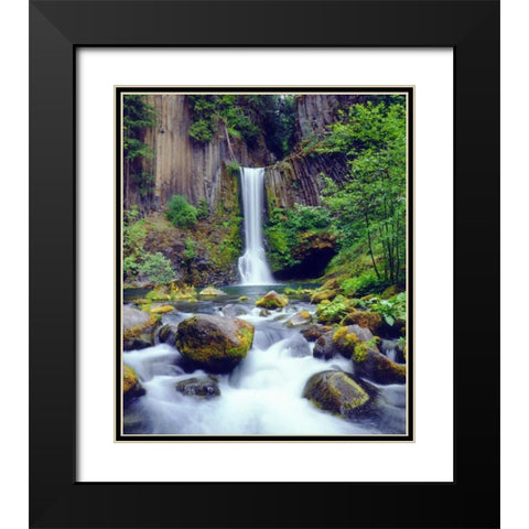 Oregon, Toketee Waterfall and Basalt Formation Black Modern Wood Framed Art Print with Double Matting by Talbot Frank, Christopher