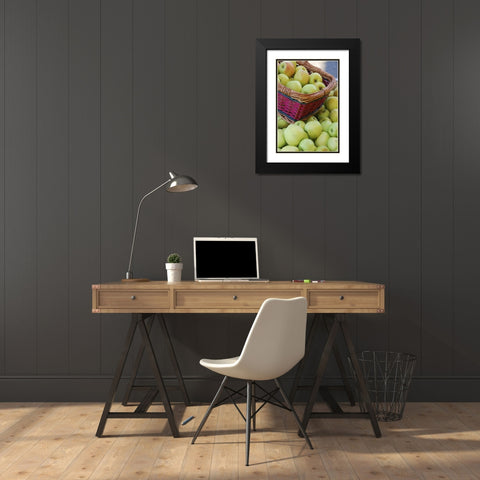 OR, Hood River Valley Basket of green apples Black Modern Wood Framed Art Print with Double Matting by Terrill, Steve
