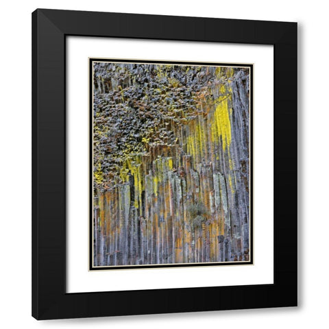 OR, Columnar basalt covered with lichen Black Modern Wood Framed Art Print with Double Matting by Terrill, Steve