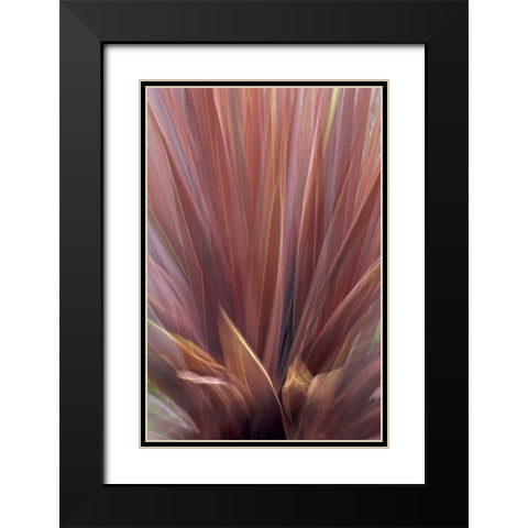 USA, Oregon, Portland Abstract of red flax plant Black Modern Wood Framed Art Print with Double Matting by Terrill, Steve