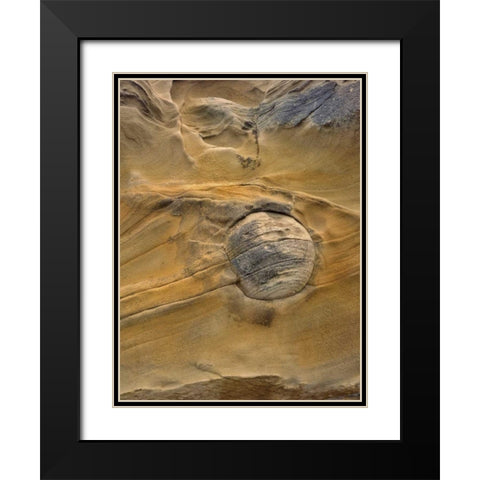 OR, Shore Acres SP Round rock in sandstone Black Modern Wood Framed Art Print with Double Matting by Terrill, Steve