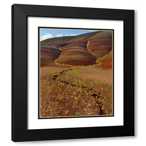 OR, Painted Hills, Yellow bee plants Black Modern Wood Framed Art Print with Double Matting by Terrill, Steve