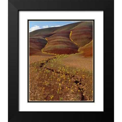 OR, Painted Hills, Yellow bee plants Black Modern Wood Framed Art Print with Double Matting by Terrill, Steve