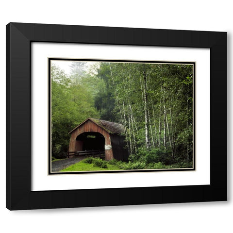 OR, Yachats River, Covered bridge over North Fork Black Modern Wood Framed Art Print with Double Matting by Terrill, Steve