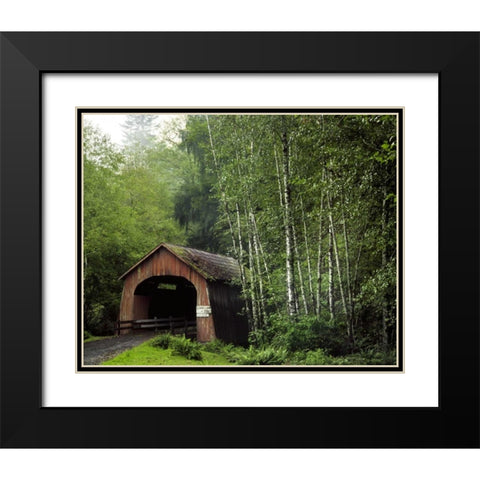 OR, Yachats River, Covered bridge over North Fork Black Modern Wood Framed Art Print with Double Matting by Terrill, Steve