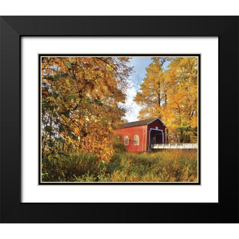 OR, Shimanek covered bridge in morning light Black Modern Wood Framed Art Print with Double Matting by Terrill, Steve