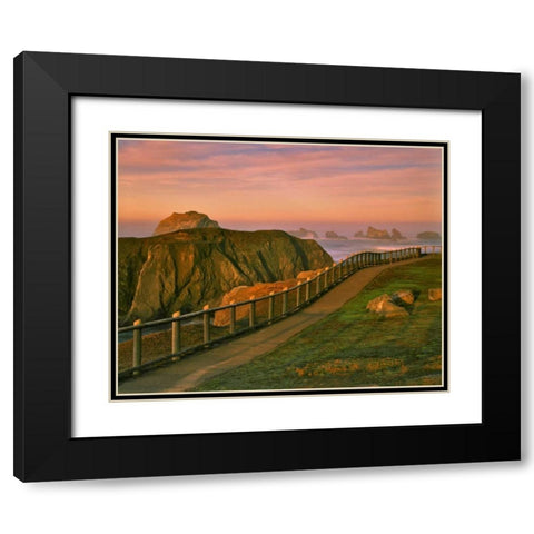 OR, Bandon Rocks viewed from trail to beach Black Modern Wood Framed Art Print with Double Matting by Terrill, Steve