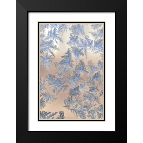 Oregon, Portland Ice crystals on window pane Black Modern Wood Framed Art Print with Double Matting by Terrill, Steve
