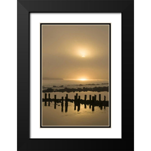 Oregon Foggy sunrise on Bandon Beach pilings Black Modern Wood Framed Art Print with Double Matting by Rotenberg, Nancy