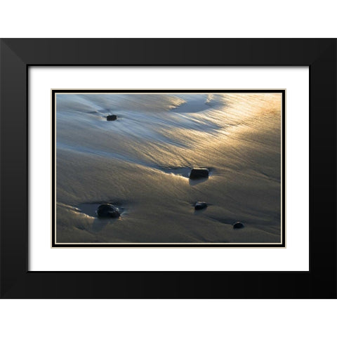 USA, Oregon Beach scenic at sunset Black Modern Wood Framed Art Print with Double Matting by Rotenberg, Nancy