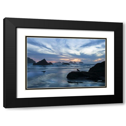 Oregon, Bandon Beach Seagull on rock at twilight Black Modern Wood Framed Art Print with Double Matting by Rotenberg, Nancy