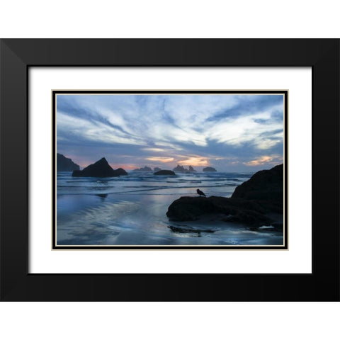 Oregon, Bandon Beach Seagull on rock at twilight Black Modern Wood Framed Art Print with Double Matting by Rotenberg, Nancy