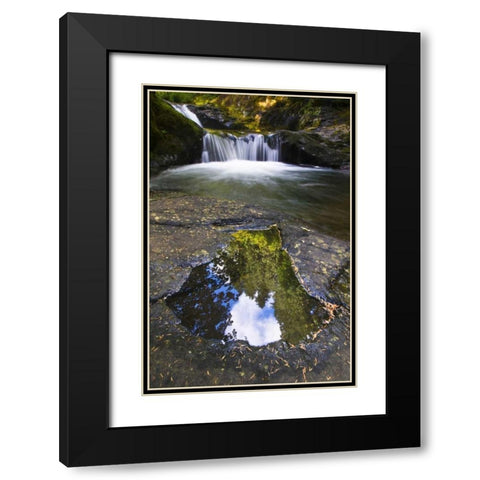 OR, Sweet Creek Trees and clouds in a Puddle Black Modern Wood Framed Art Print with Double Matting by Rotenberg, Nancy