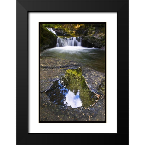 OR, Sweet Creek Trees and clouds in a Puddle Black Modern Wood Framed Art Print with Double Matting by Rotenberg, Nancy