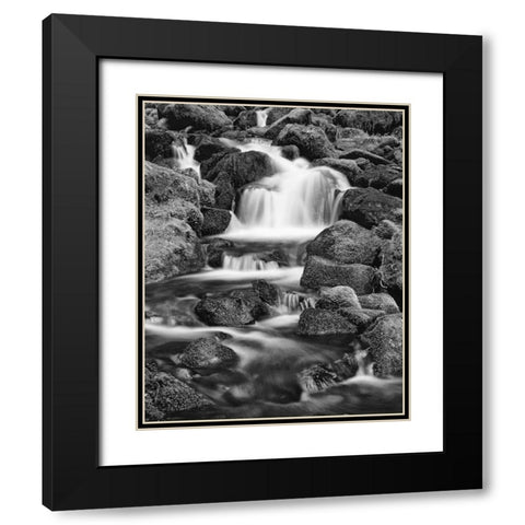 OR, Three Sisters Wilderness Area Proxy Falls Black Modern Wood Framed Art Print with Double Matting by Flaherty, Dennis