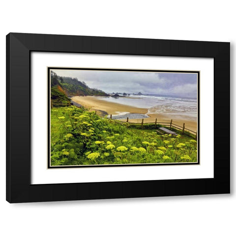 OR, Ecola SP Cow parsnip near Indian Beach Black Modern Wood Framed Art Print with Double Matting by Carter, Jean
