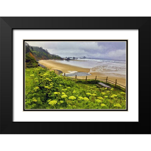 OR, Ecola SP Cow parsnip near Indian Beach Black Modern Wood Framed Art Print with Double Matting by Carter, Jean