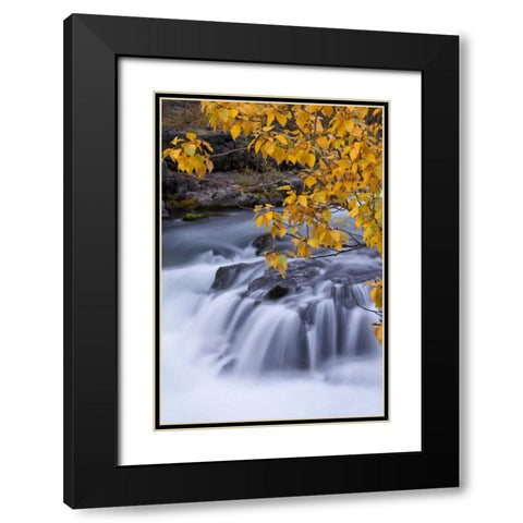USA, Oregon Rogue River waterfalls in autumn Black Modern Wood Framed Art Print with Double Matting by Carter, Jean