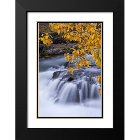 USA, Oregon Rogue River waterfalls in autumn Black Modern Wood Framed Art Print with Double Matting by Carter, Jean