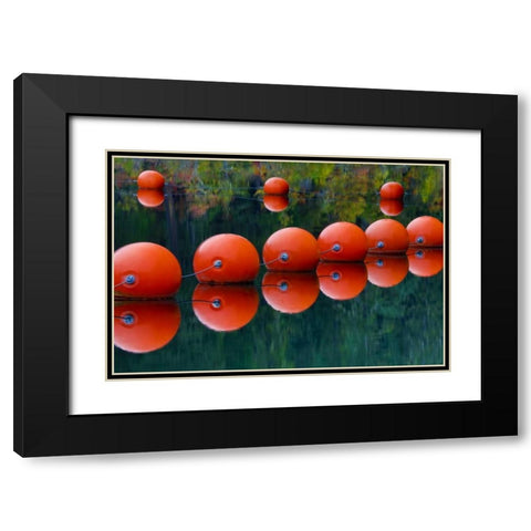USA, Oregon Orange buoys form dam on Rogue River Black Modern Wood Framed Art Print with Double Matting by Carter, Jean