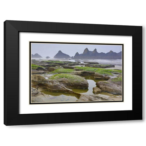 Oregon, Seal Rock SP Rocky beach at low tide Black Modern Wood Framed Art Print with Double Matting by Carter, Jean