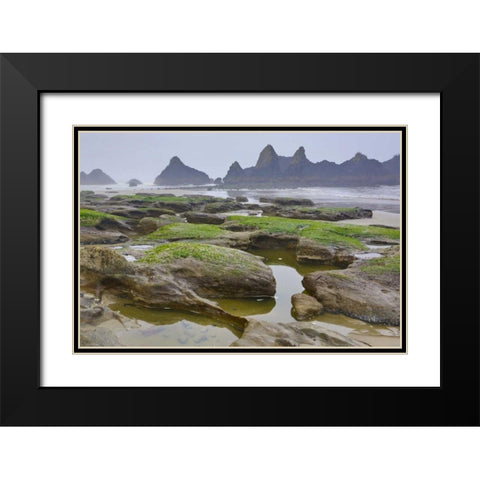 Oregon, Seal Rock SP Rocky beach at low tide Black Modern Wood Framed Art Print with Double Matting by Carter, Jean