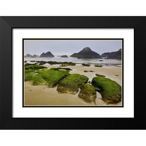 Oregon, Seal Rock SP Rocky beach at low tide Black Modern Wood Framed Art Print with Double Matting by Carter, Jean
