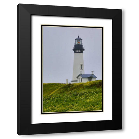 USA, Oregon Yaquina Head Lighthouse on foggy day Black Modern Wood Framed Art Print with Double Matting by Carter, Jean