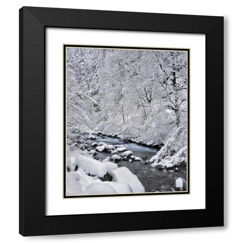 Oregon, Mt Hood NF Snow on Boulder Creek Black Modern Wood Framed Art Print with Double Matting by Terrill, Steve
