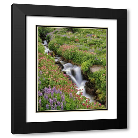 OR, Mt Hood, Flowers along Elk Cove Creek Black Modern Wood Framed Art Print with Double Matting by Terrill, Steve
