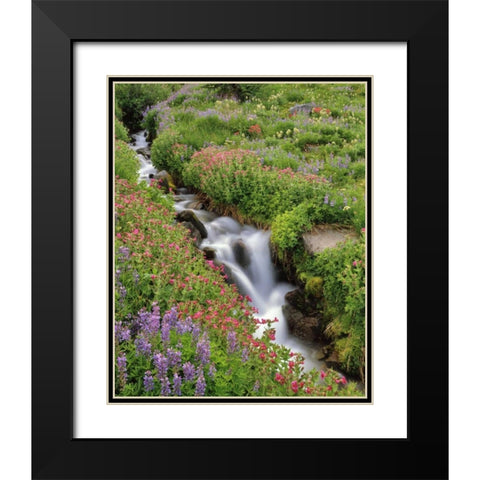 OR, Mt Hood, Flowers along Elk Cove Creek Black Modern Wood Framed Art Print with Double Matting by Terrill, Steve