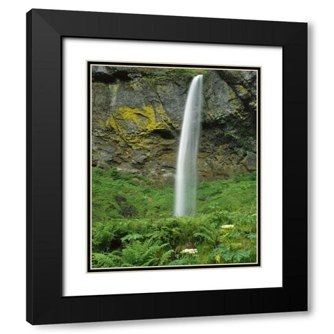 OR, Columbia River Gorge NSA Elowah Falls scenic Black Modern Wood Framed Art Print with Double Matting by Terrill, Steve