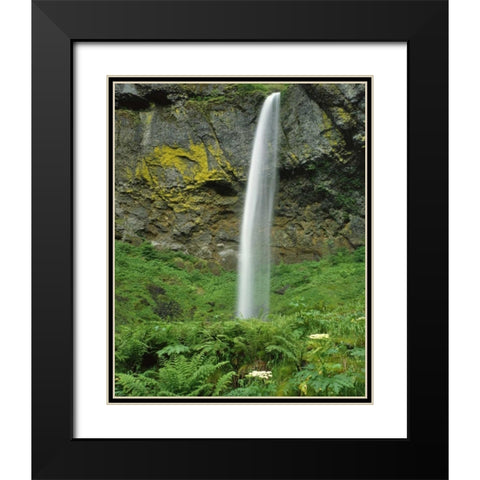 OR, Columbia River Gorge NSA Elowah Falls scenic Black Modern Wood Framed Art Print with Double Matting by Terrill, Steve