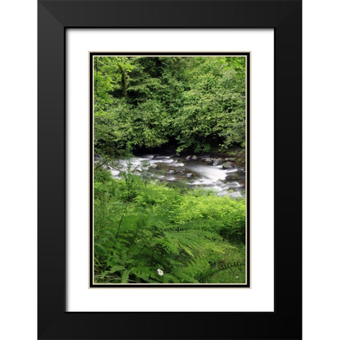 Oregon Scenic of Little Sandy River and ferns Black Modern Wood Framed Art Print with Double Matting by Terrill, Steve