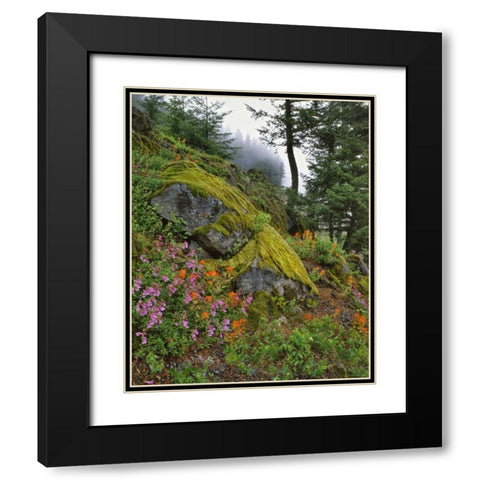 Oregon, Mt Hood NF Trees and flowers Black Modern Wood Framed Art Print with Double Matting by Terrill, Steve