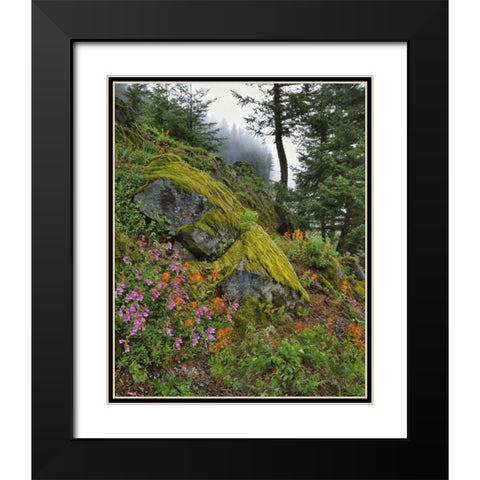 Oregon, Mt Hood NF Trees and flowers Black Modern Wood Framed Art Print with Double Matting by Terrill, Steve