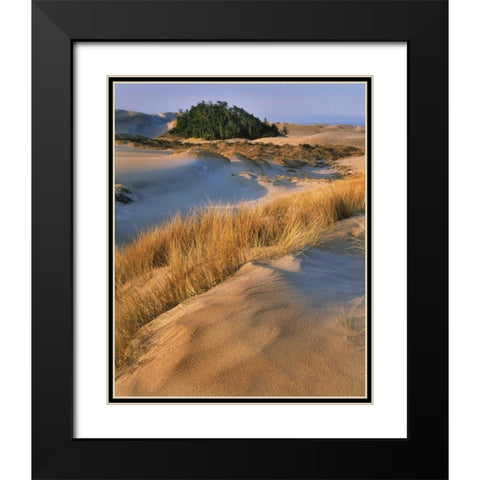 Oregon, Dunes NRA Landscape of sand dunes Black Modern Wood Framed Art Print with Double Matting by Terrill, Steve