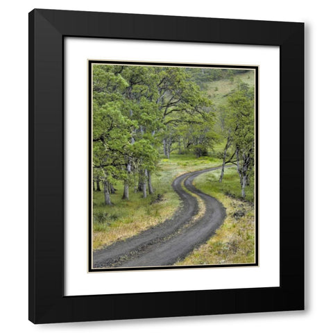 OR, Columbia Gorge NSA Road lined with oak trees Black Modern Wood Framed Art Print with Double Matting by Terrill, Steve